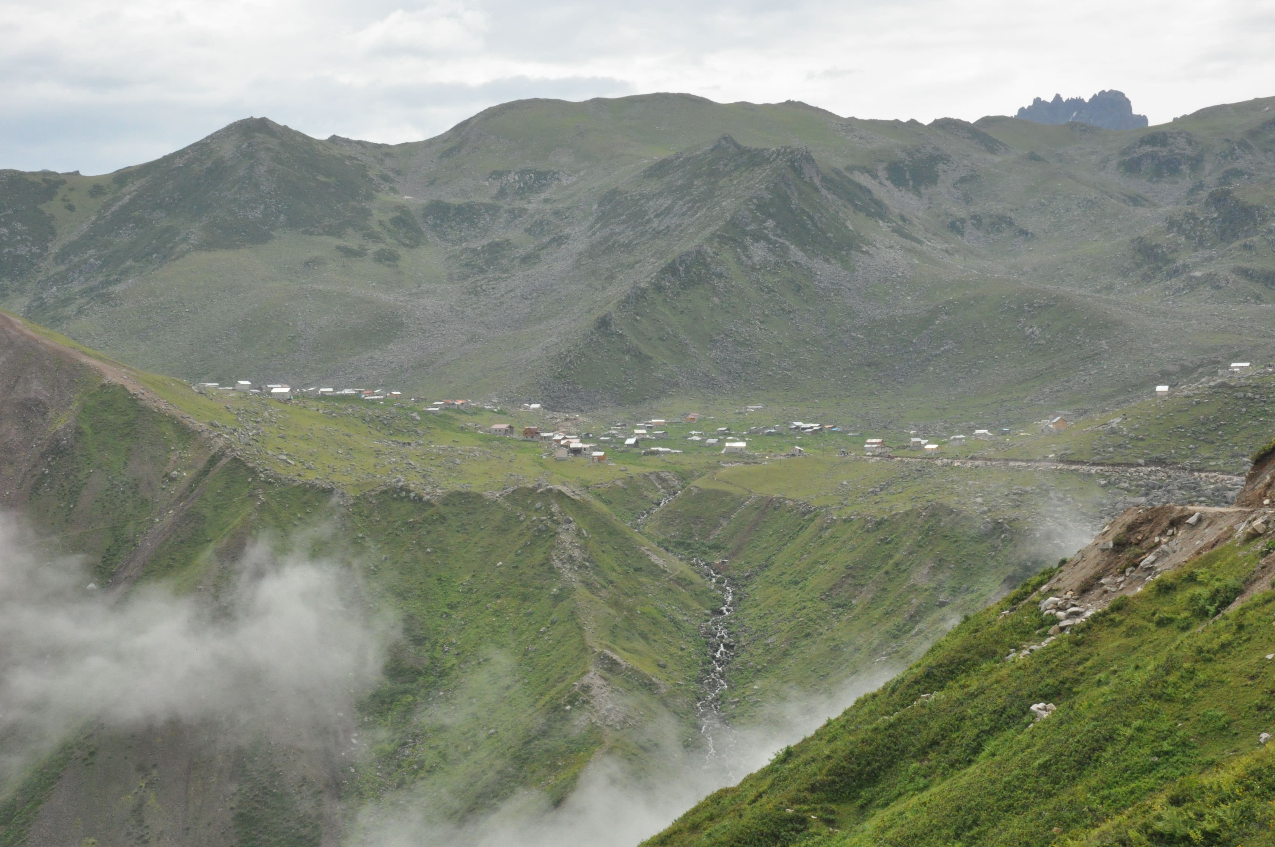 Koçdüzü Guant Yaylası
